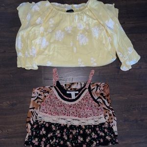 Both $40 or $15-20 each